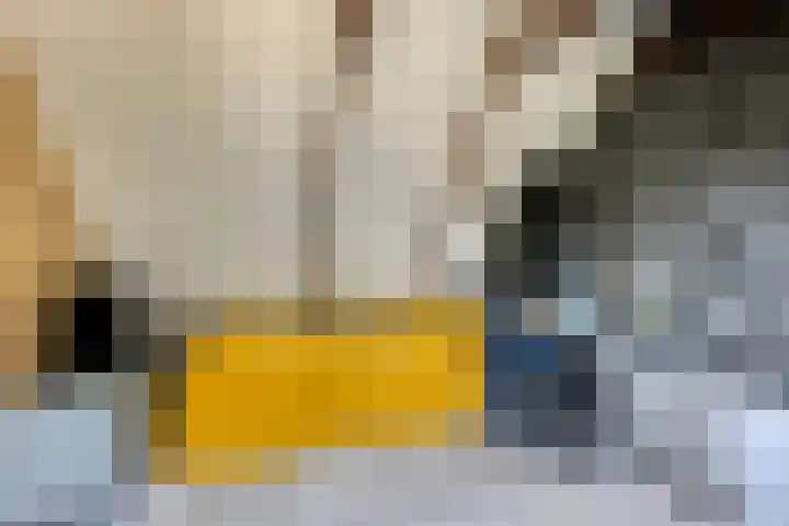 Bakkerom 9 Boerakker thumbnail 22