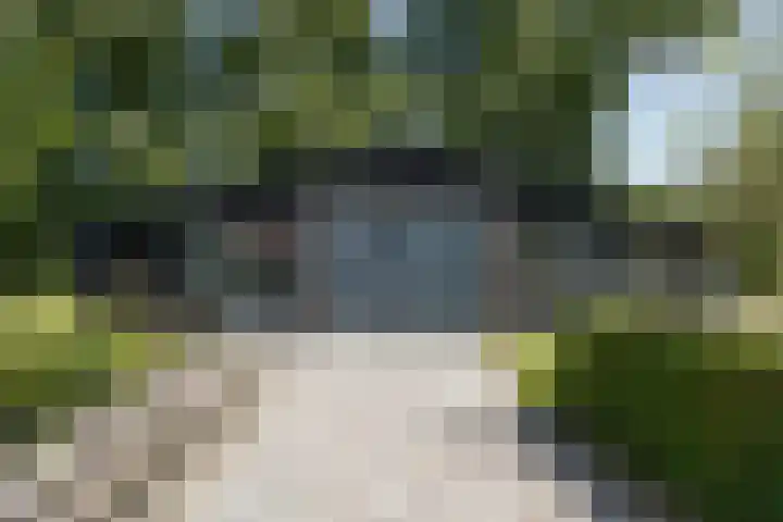 Bakkerom 9 Boerakker thumbnail 25