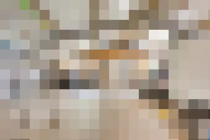 Bakkerom 9 Boerakker thumbnail 27