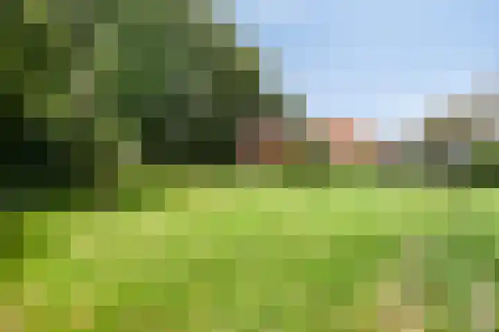 Bakkerom 9 Boerakker thumbnail 28