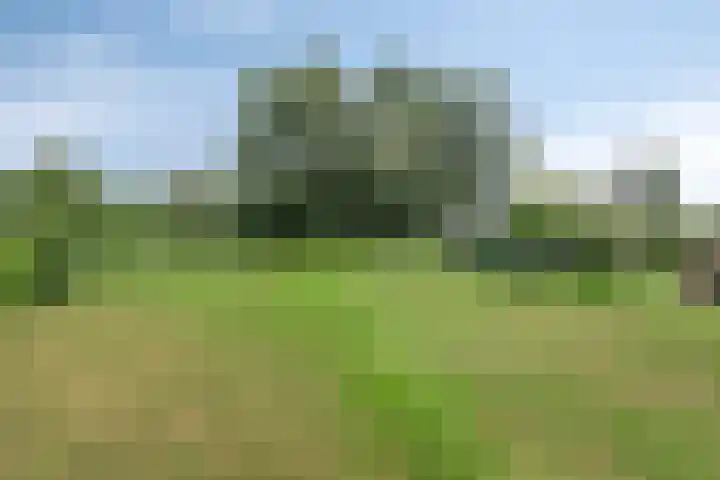 Bakkerom 9 Boerakker thumbnail 30
