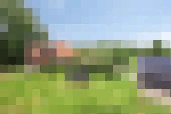 Bakkerom 9 Boerakker thumbnail 34
