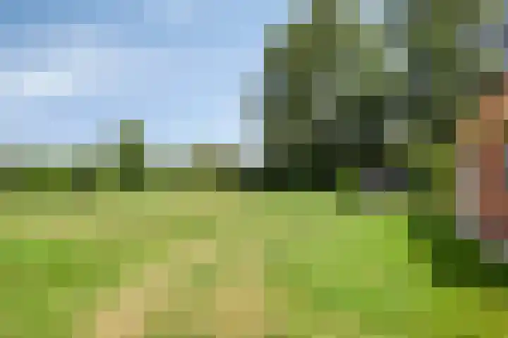 Bakkerom 9 Boerakker thumbnail 36