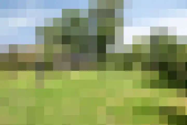 Bakkerom 9 Boerakker thumbnail 37