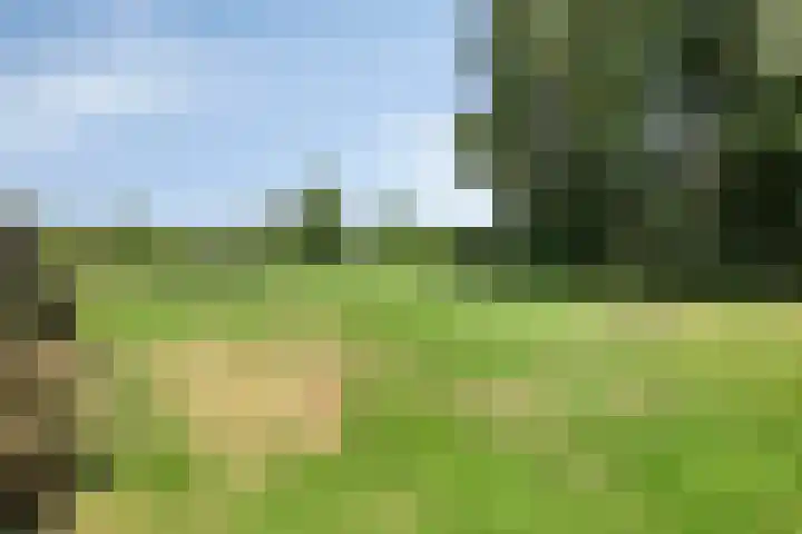 Bakkerom 9 Boerakker thumbnail 38