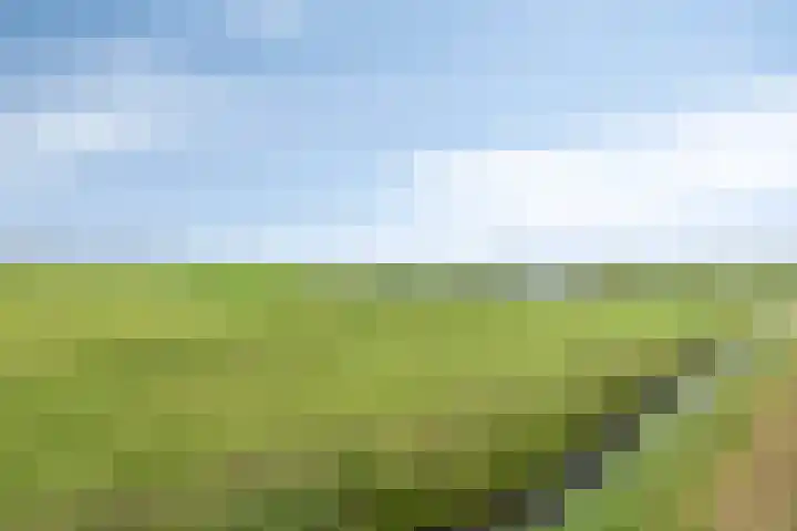 Bakkerom 9 Boerakker thumbnail 39