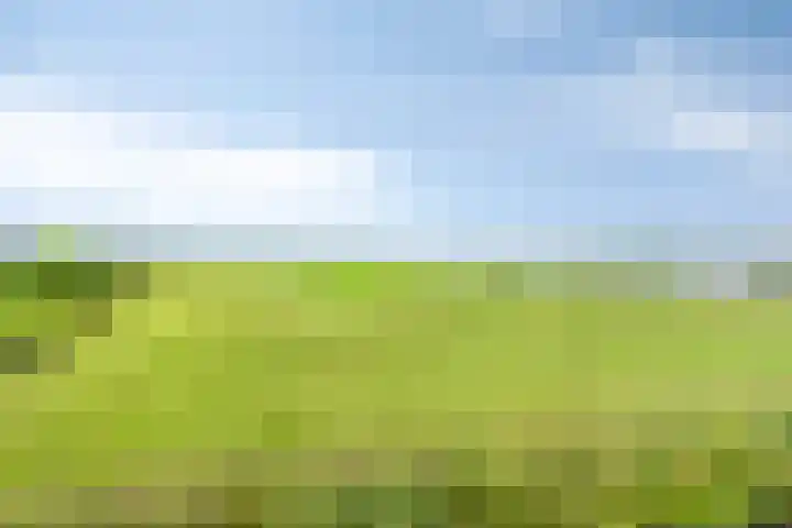Bakkerom 9 Boerakker thumbnail 4