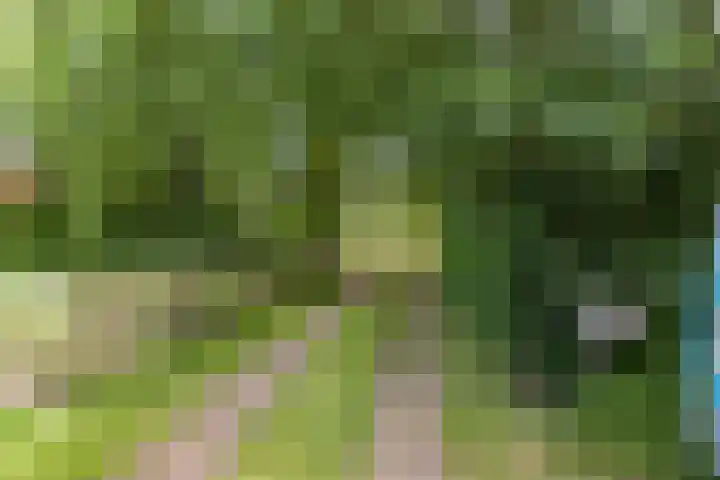 Bakkerom 9 Boerakker thumbnail 5