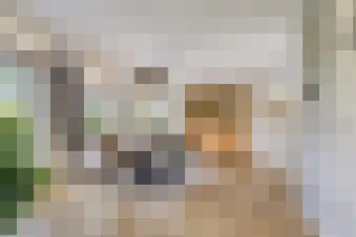 Bakkerom 9 Boerakker thumbnail 8