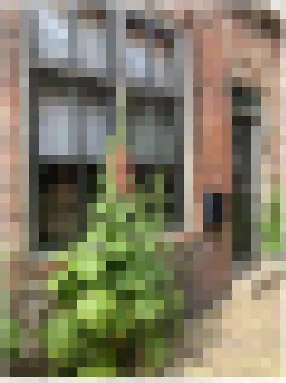 Bakkersgang 3 Biggekerke thumbnail 31