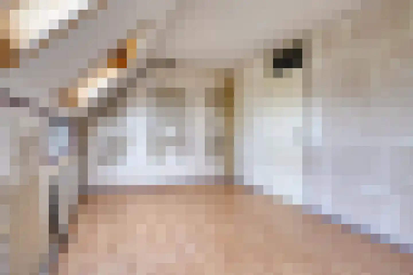Bakkersgilde 11 Houten thumbnail 17