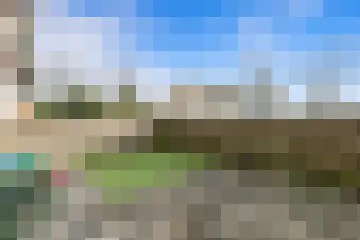 Bakkershof 12 Wateringen thumbnail 11