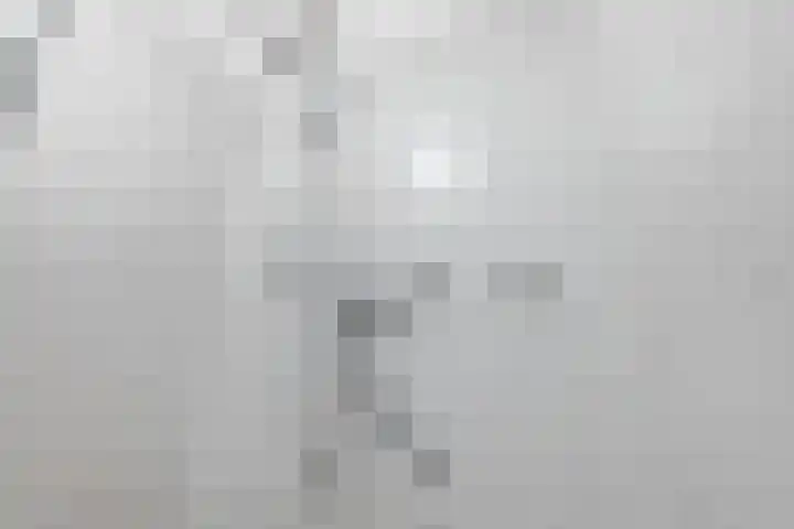 Bakkershof 12 Wateringen thumbnail 23