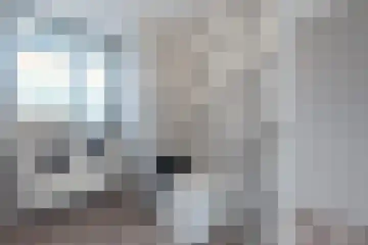Bakkershof 12 Wateringen thumbnail 30