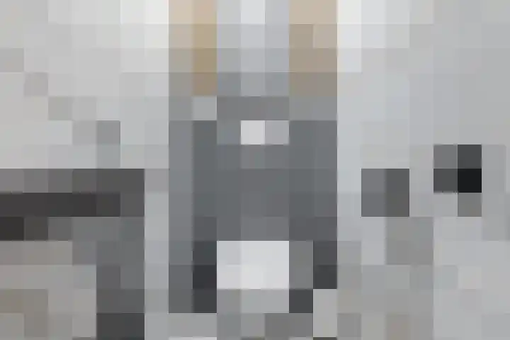 Bakkershof 12 Wateringen thumbnail 31