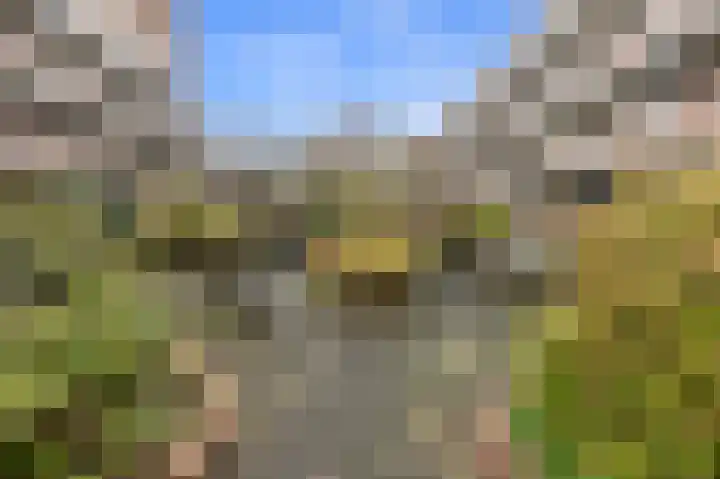 Bakkershof 12 Wateringen thumbnail 33