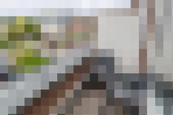 Bakkershof 136 Wateringen thumbnail 11