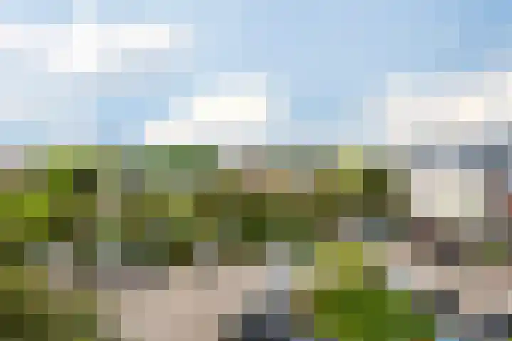 Bakkershof 136 Wateringen thumbnail 12