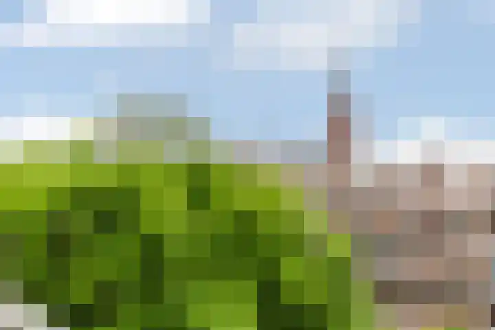 Bakkershof 136 Wateringen thumbnail 25