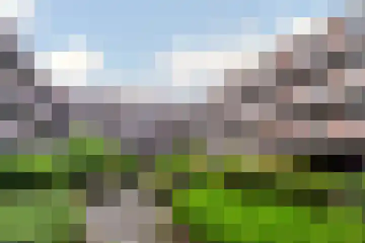 Bakkershof 136 Wateringen thumbnail 28