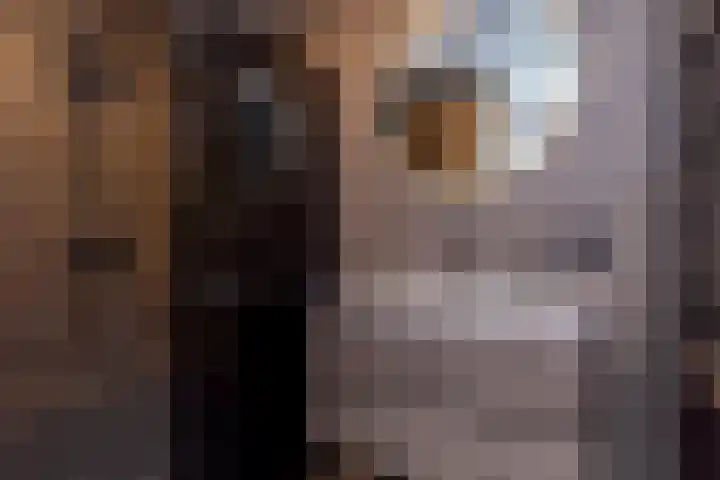 Bakkershof 136 Wateringen thumbnail 4