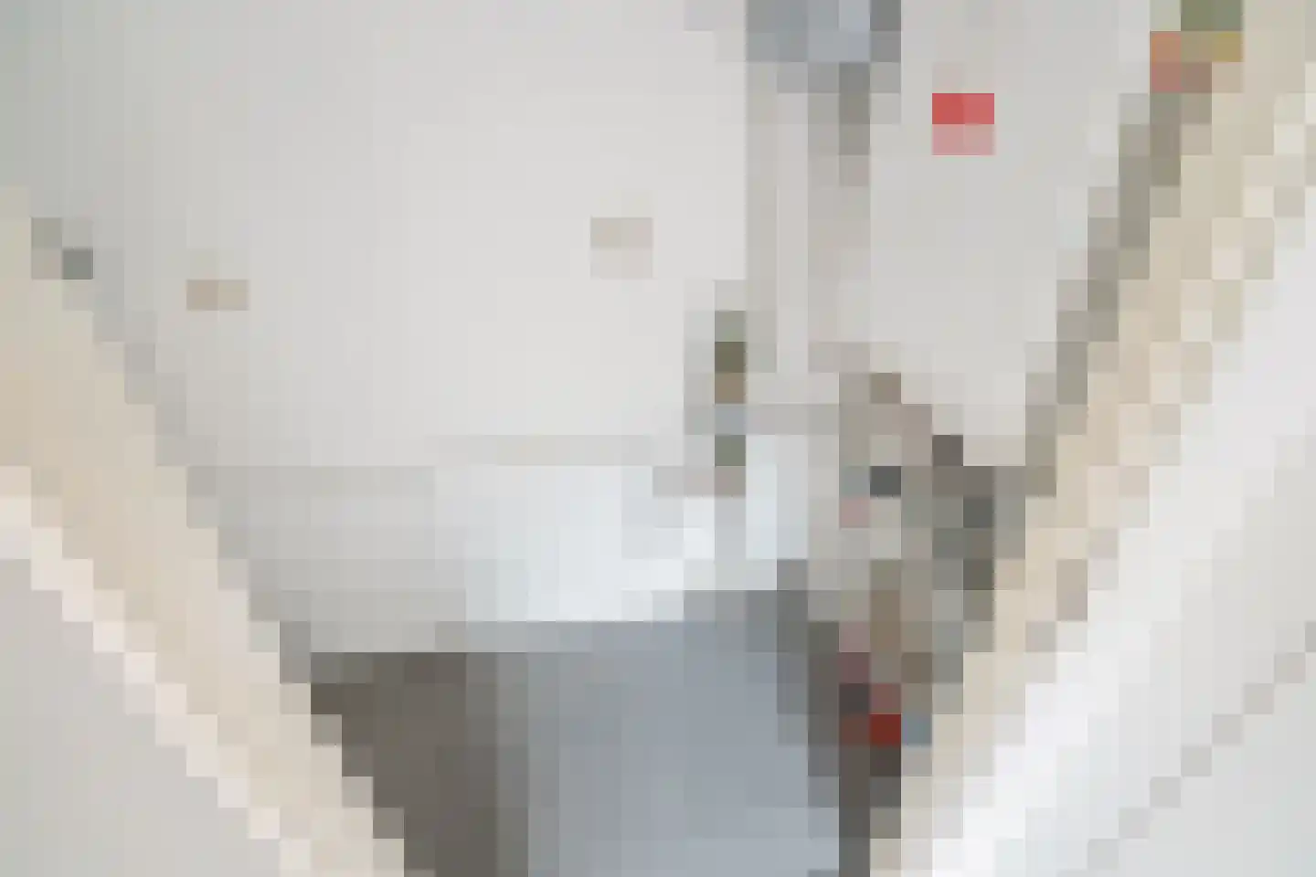Bakkershof 24 Wateringen thumbnail 25