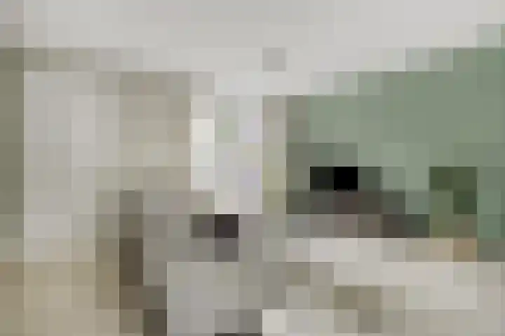 Bakkershof 5 Neerkant thumbnail 11