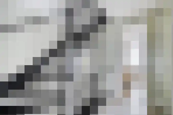 Bakkershof 5 Neerkant thumbnail 20