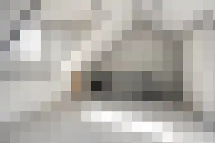 Bakkershof 5 Neerkant thumbnail 22