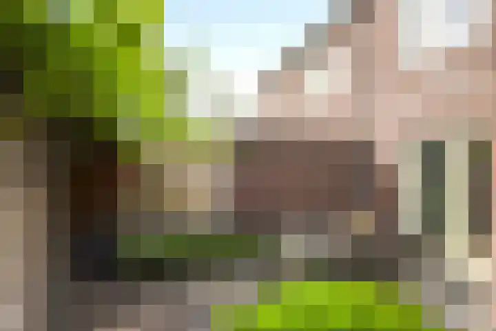 Bakkershof 5 Neerkant thumbnail 24