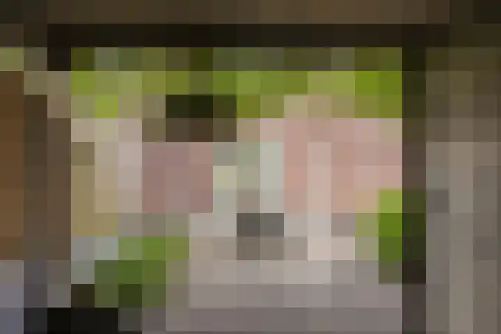 Bakkershof 5 Neerkant thumbnail 25