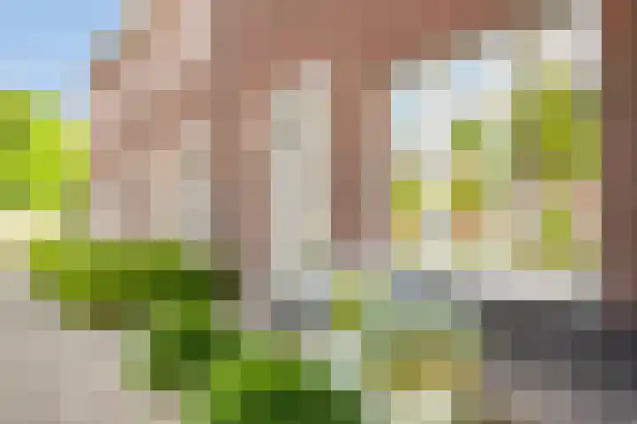 Bakkershof 5 Neerkant thumbnail 28