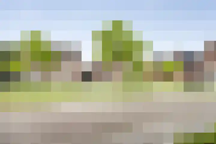 Bakkershof 5 Neerkant thumbnail 31