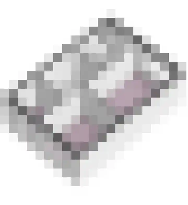 Bakkershof 5 Neerkant thumbnail 37