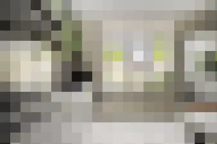 Bakkershof 5 Neerkant thumbnail 4