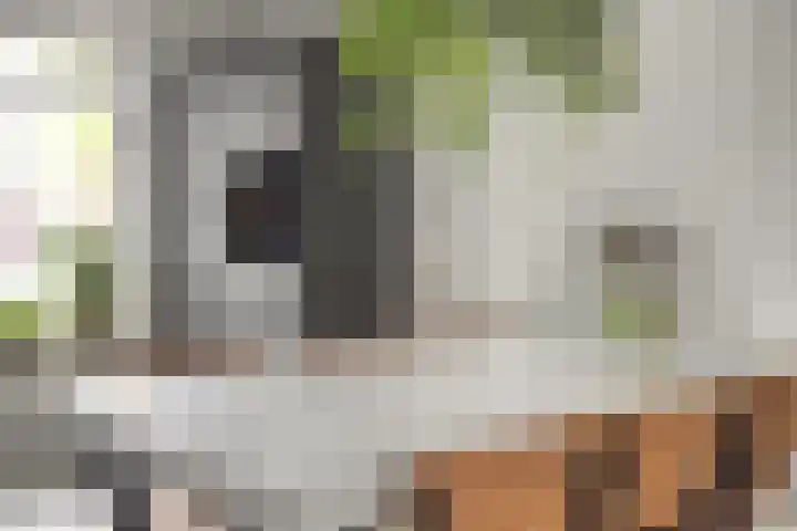 Bakkershof 5 Neerkant thumbnail 5
