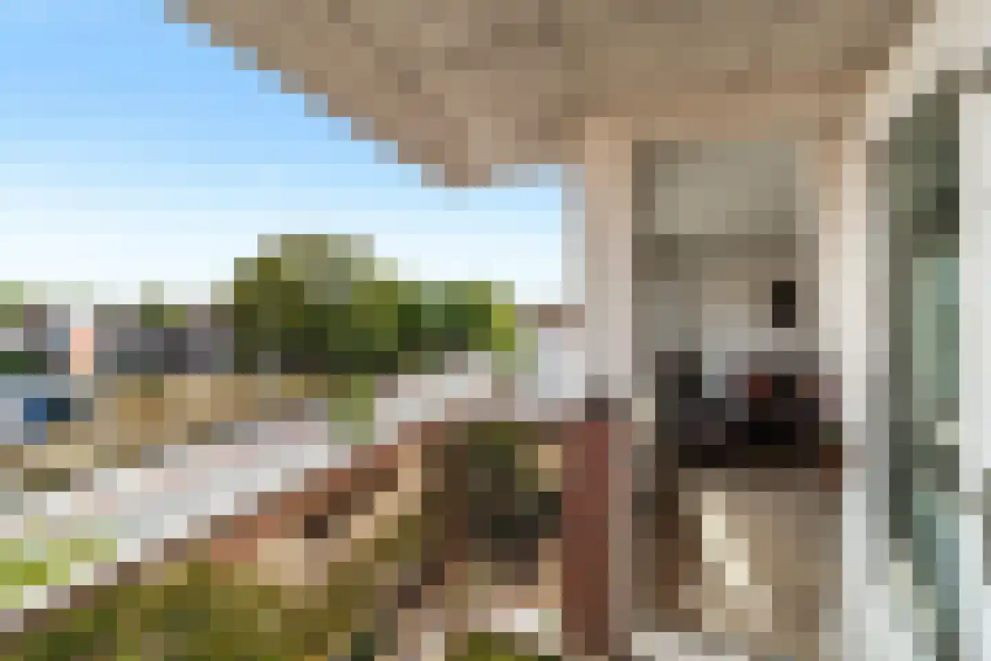 Bakkershof 58 Wateringen thumbnail 19