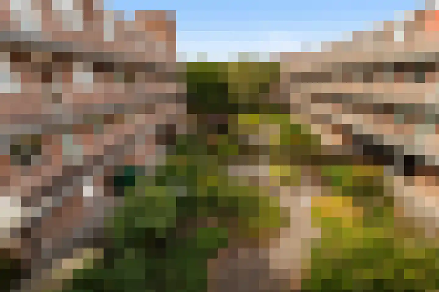 Bakkershof 58 Wateringen thumbnail 26
