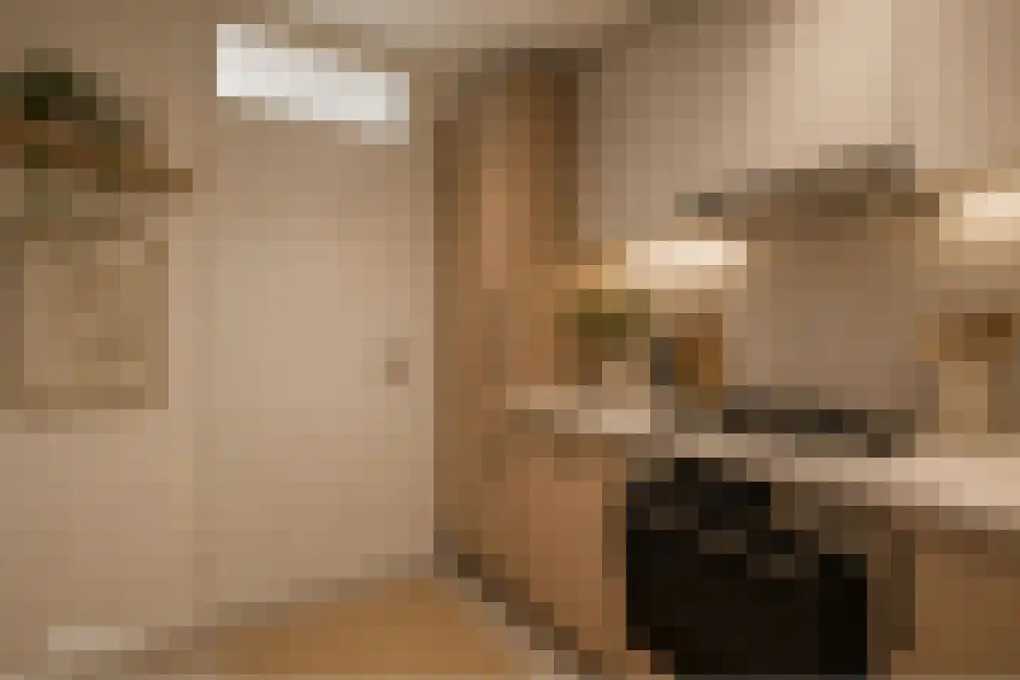 Bakkershof 64 Wateringen thumbnail 25