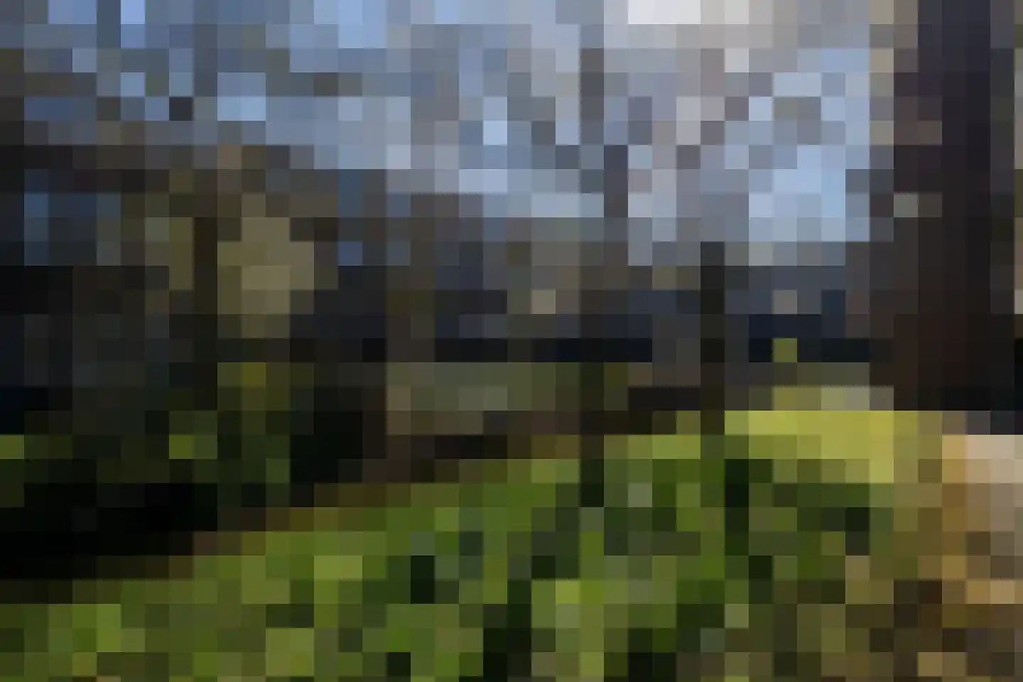 Bakkershof 64 Wateringen thumbnail 31
