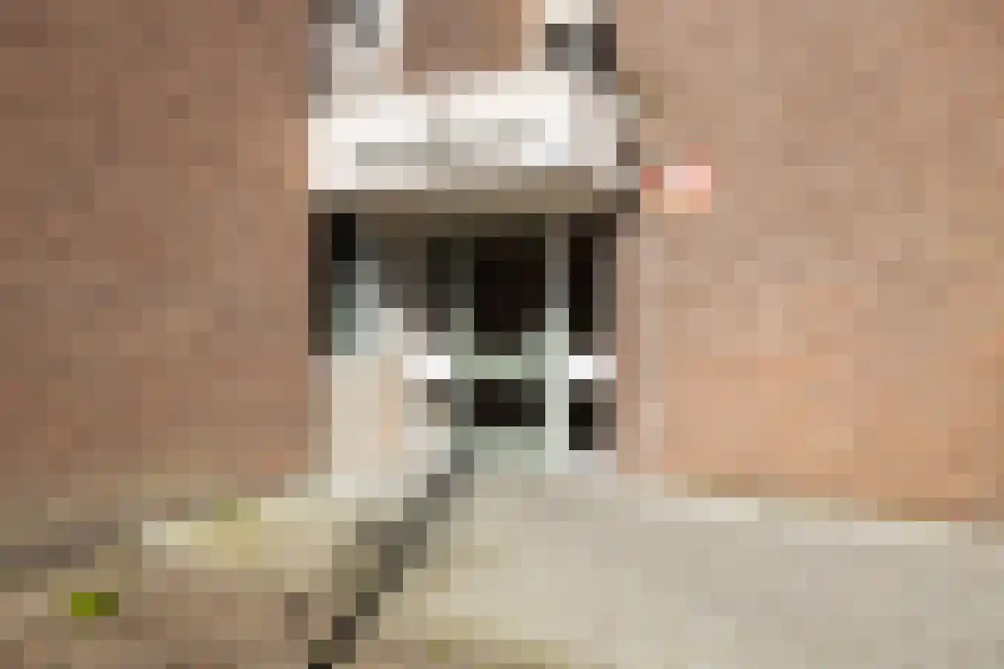 Bakkershof 64 Wateringen thumbnail 4