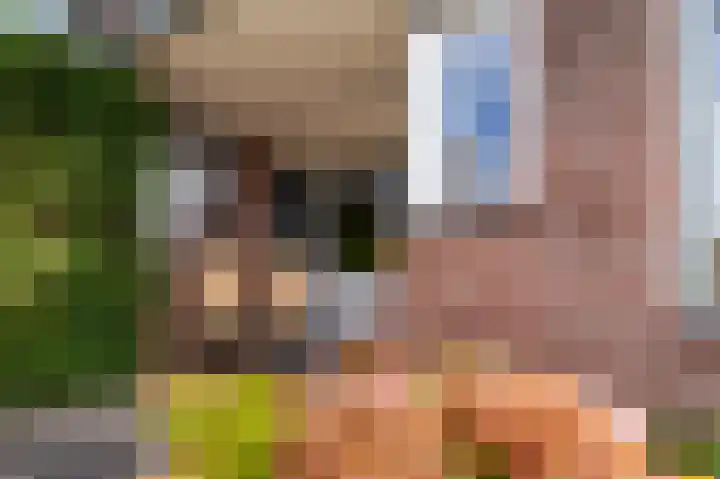 Bakkershof 92 Wateringen thumbnail 22