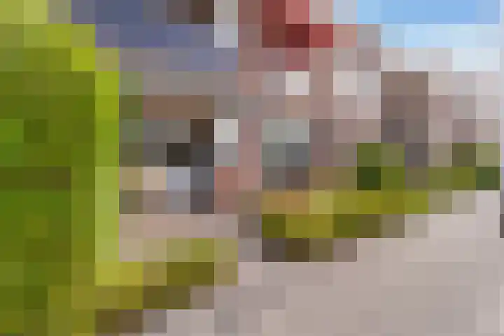 Bakkershof 92 Wateringen thumbnail 23