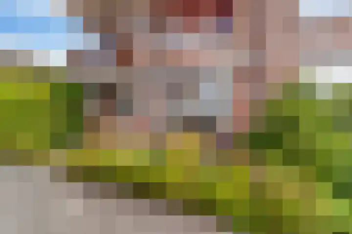 Bakkershof 92 Wateringen thumbnail 33