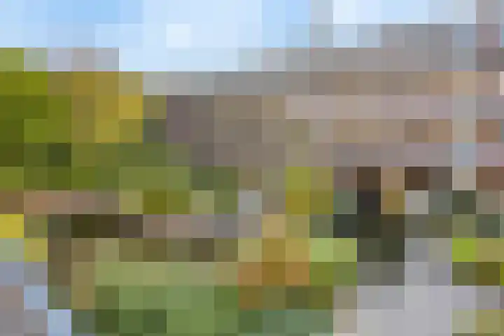 Bakkershof 96 Wateringen thumbnail 23