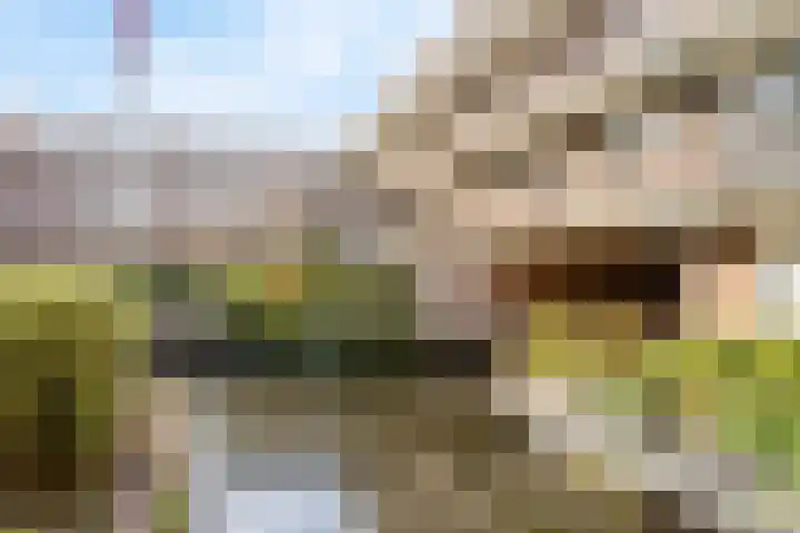 Bakkershof 96 Wateringen thumbnail 24