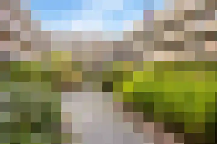 Bakkershof 96 Wateringen thumbnail 25