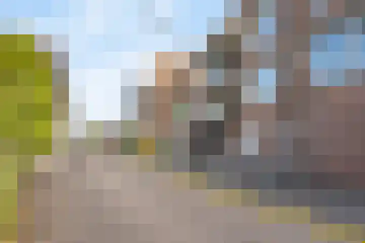 Bakkershof 96 Wateringen thumbnail 27