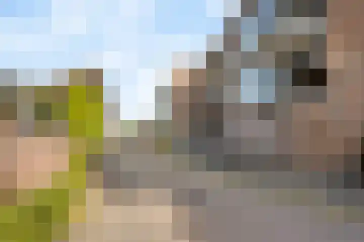 Bakkershof 96 Wateringen thumbnail 28