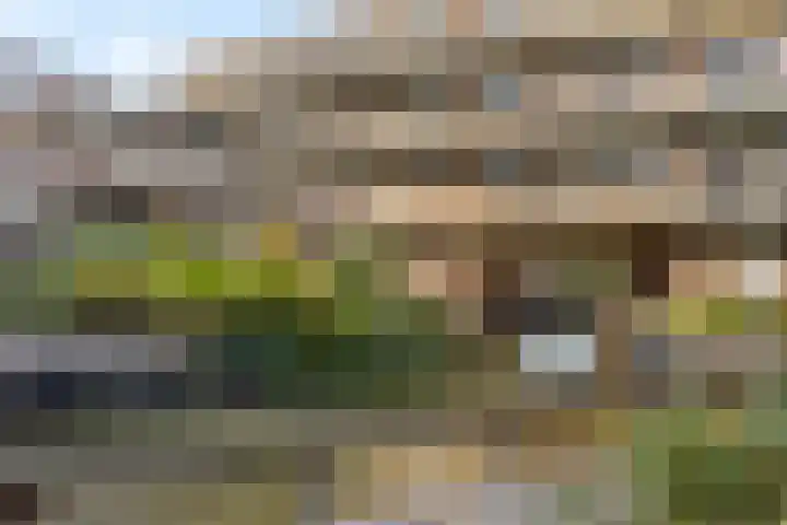 Bakkershof 96 Wateringen thumbnail 6